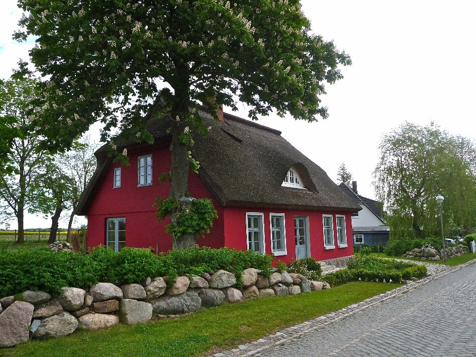 Pohon pagar arsitektur peternakan