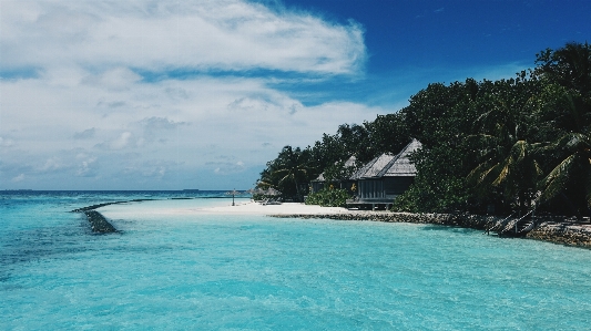 Beach sea coast water Photo