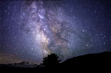 Foto árvore natureza silhueta céu