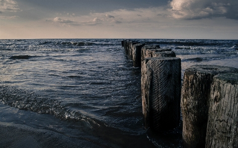 Beach sea coast water Photo