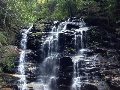 Water nature forest rock Photo