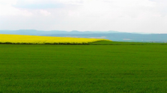 Landscape nature grass outdoor Photo