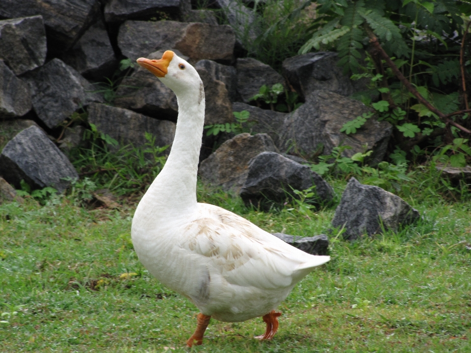 水 自然 アウトドア 荒野
