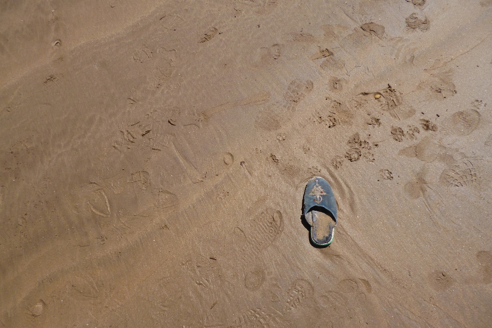 Pantai pasir sepatu kayu