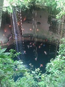 Water rock hole flower Photo