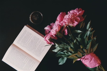 Blossom book plant flower Photo