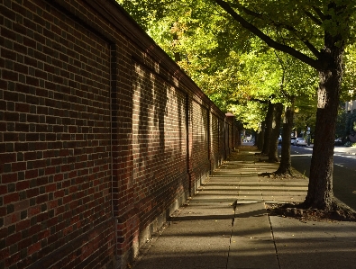 Wood street house sunlight Photo