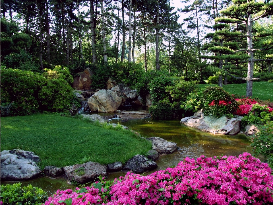 Landscape lawn flower pond