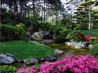 Landscape lawn flower pond Photo