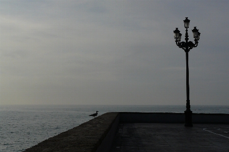 Sea coast ocean horizon Photo