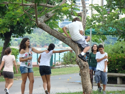 People play young youth Photo