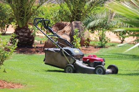 Grass lawn tool vehicle Photo