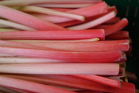 Petal food red produce Photo