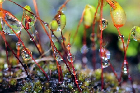 Tree water nature forest Photo