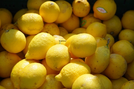 Foto Planta fruta alimento producir