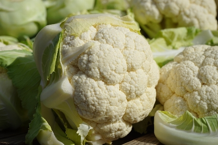 皿 食べ物 生産 野菜 写真