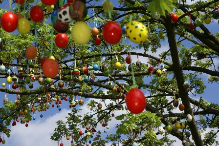 Baum zweig anlage frucht Foto