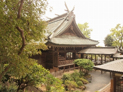 Mountain building palace buddhism Photo