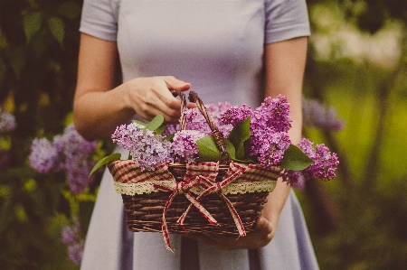 人 植物 女の子 女性 写真