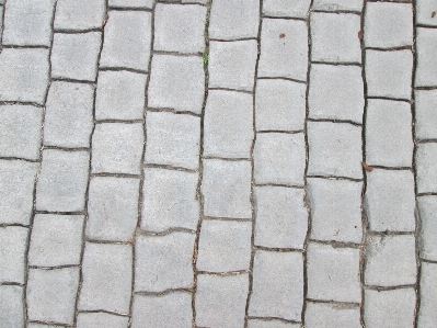 Floor cobblestone wall stone Photo