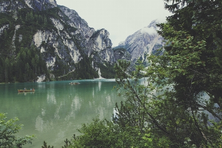 Landscape water forest rock Photo