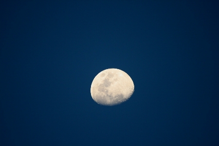 Foto Langit suasana bulan purnama