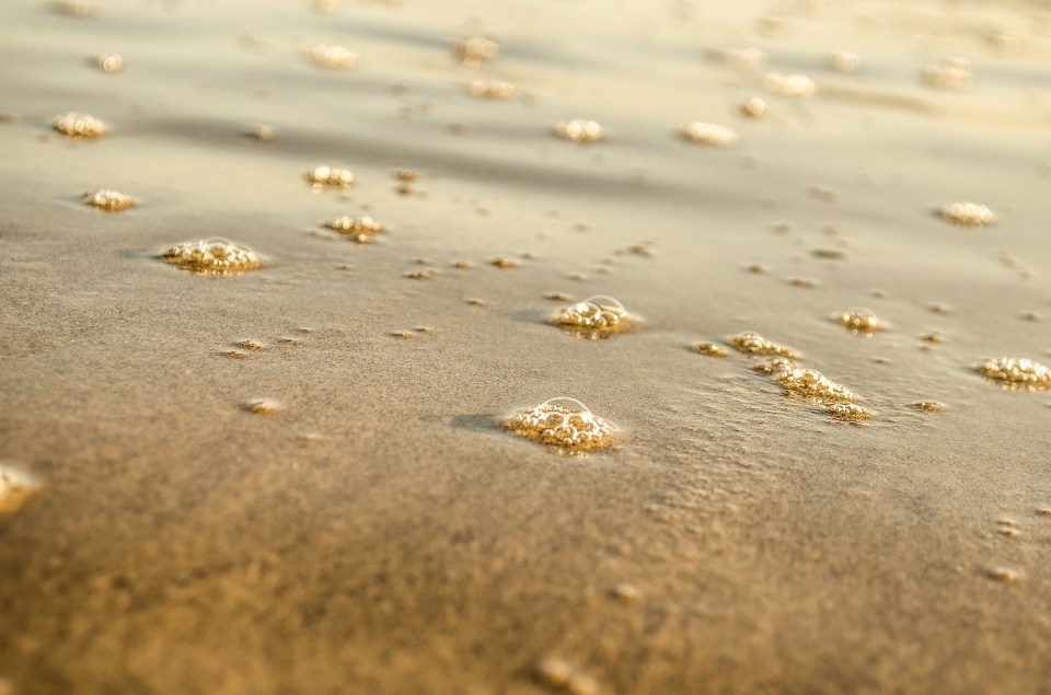 Beach sea nature sand