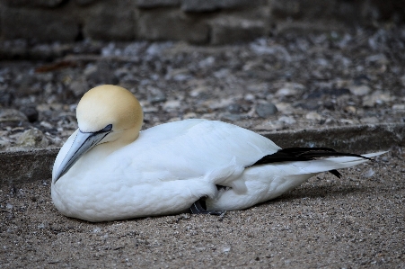 海 自然 アウトドア 荒野
 写真