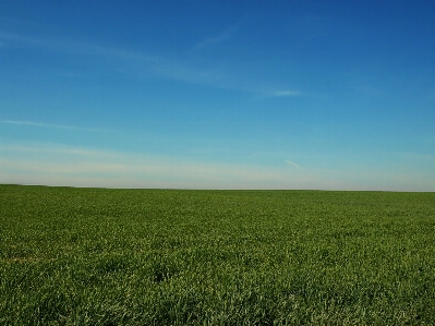 Landscape grass horizon marsh Photo