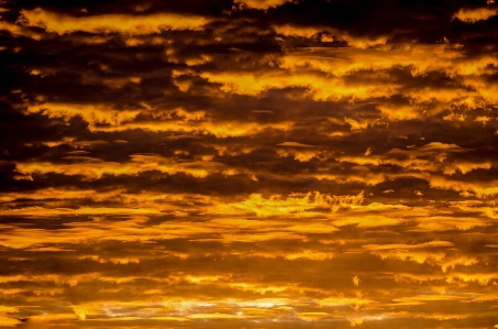 Horizon light abstract cloud Photo