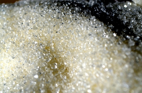 Water grain sweet food Photo