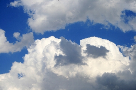 Outdoor cloud sky white Photo