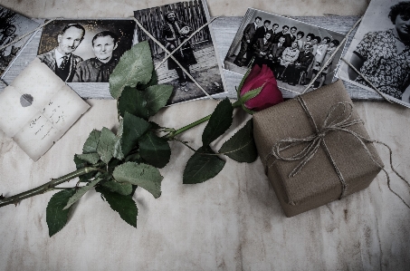 Foto Pessoas flor velho presente