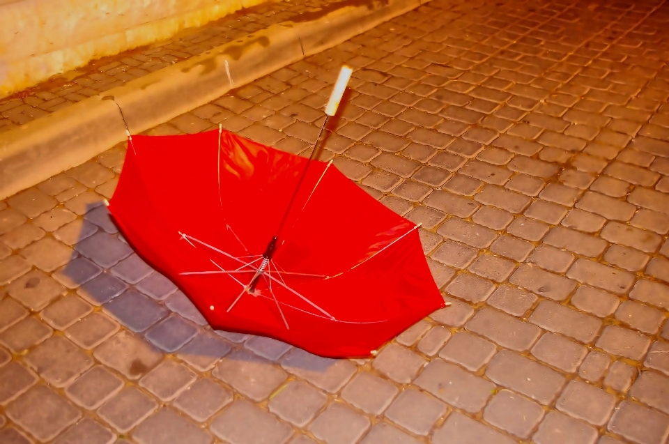 冬天 翅膀 车轮 雨