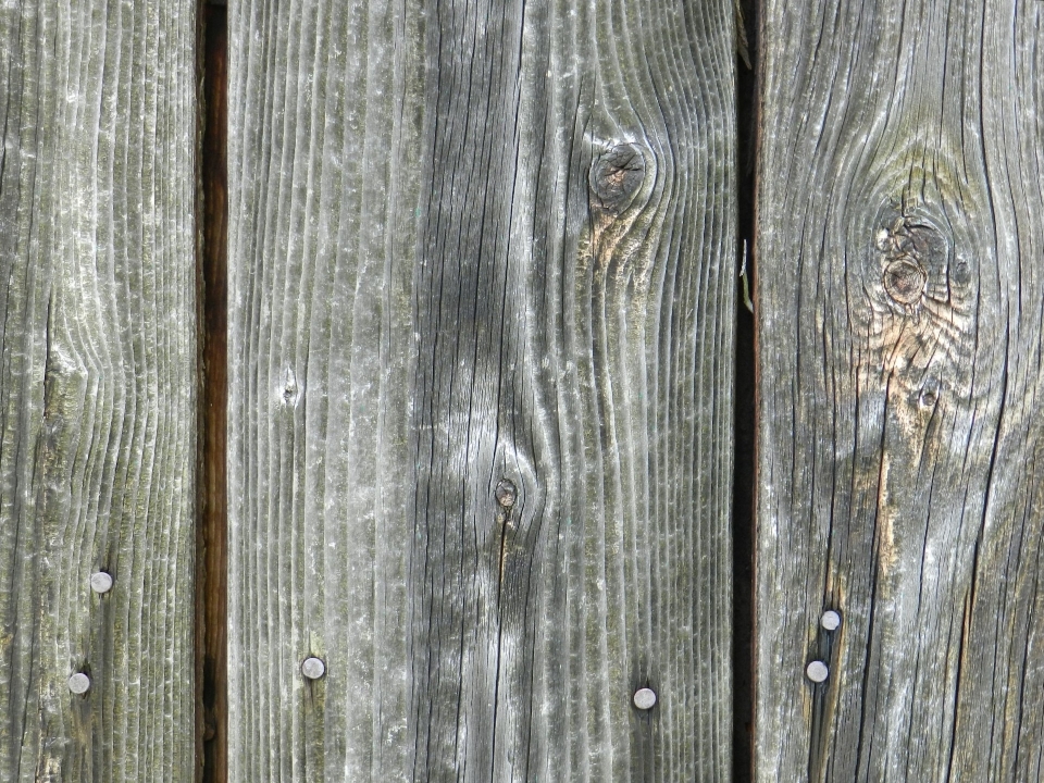 Grungy fence structure board