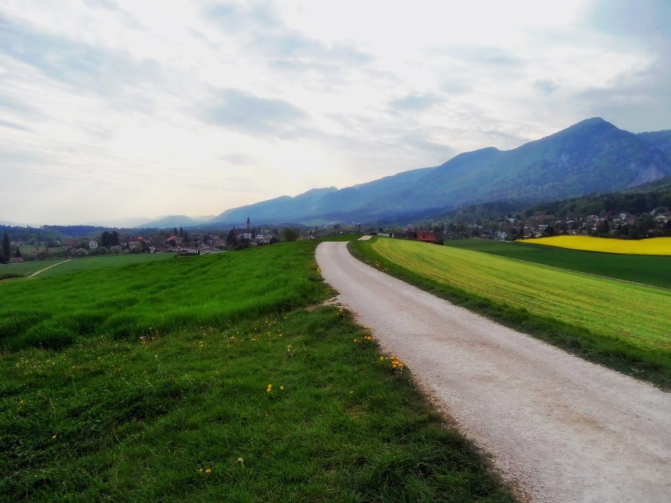 Landscape nature grass horizon