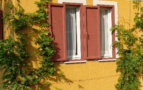 House window building home Photo