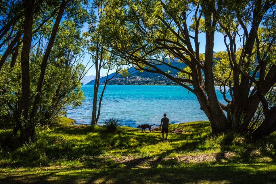 ビーチ 風景 木 自然