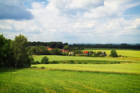 Landscape nature grass cloud Photo