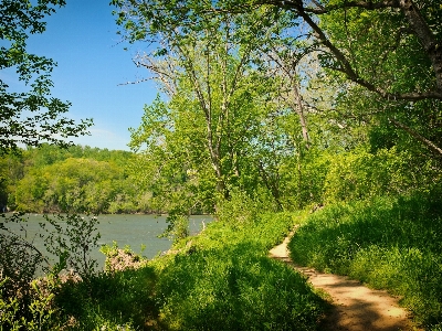 Landscape tree water nature Photo