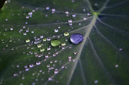 Tree water nature grass Photo