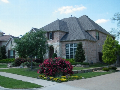 Architecture structure lawn villa Photo