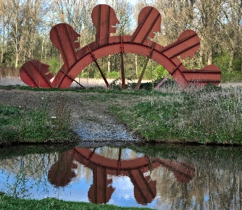 Tree nature wood wheel Photo