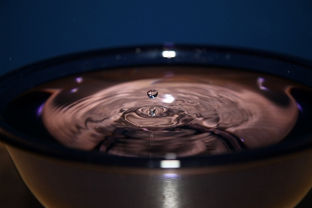 Water droplet drop liquid Photo