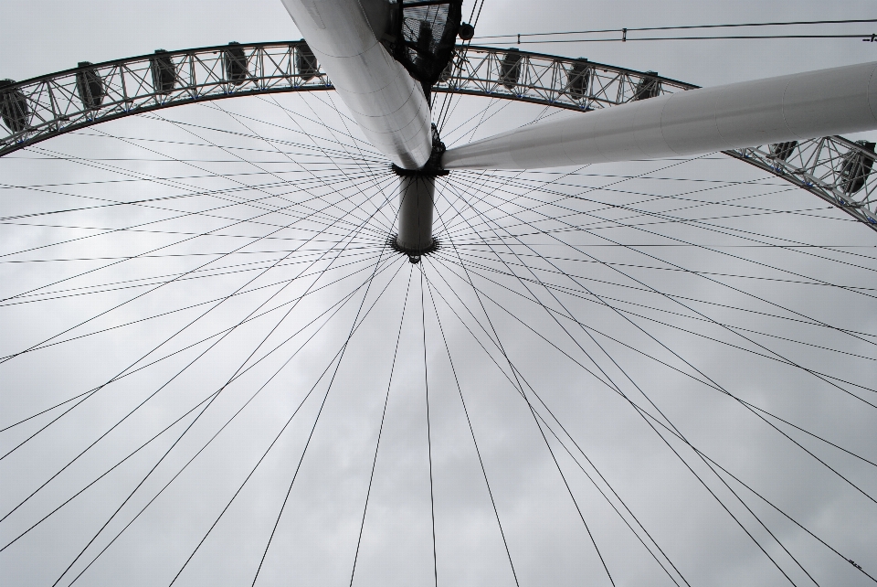 Aile noir et blanc
 blanc roue