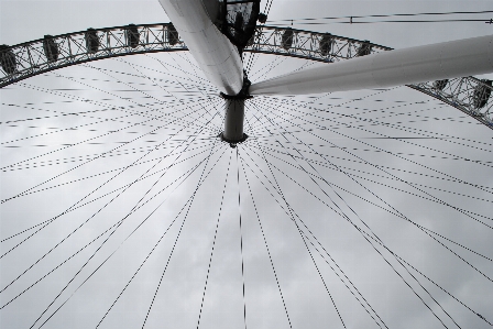 Photo Aile noir et blanc
 blanc roue