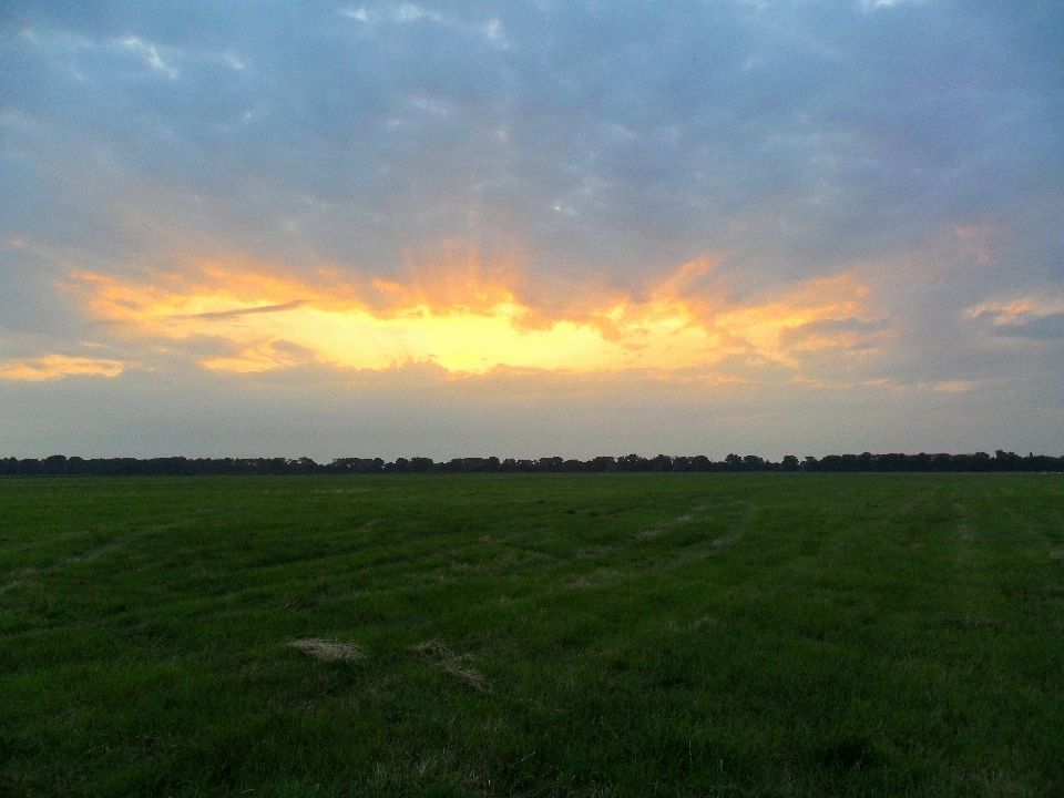 Paisagem natureza grama horizonte