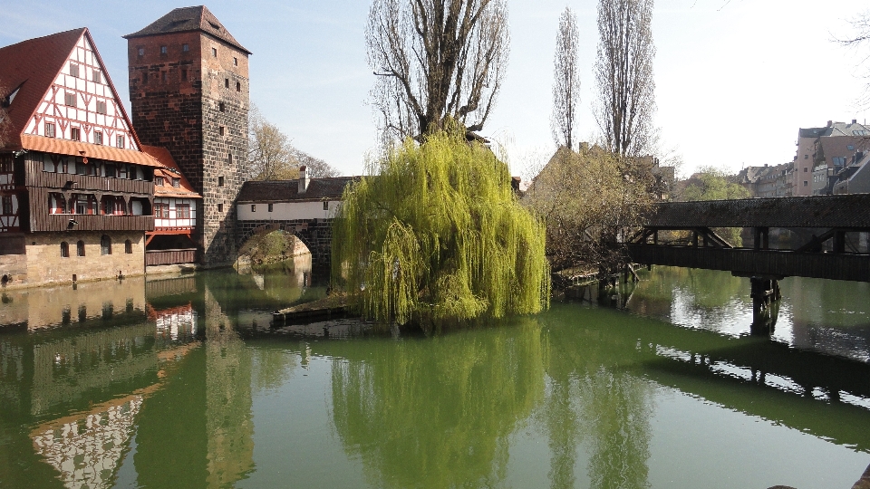 Arbre eau pont rivière