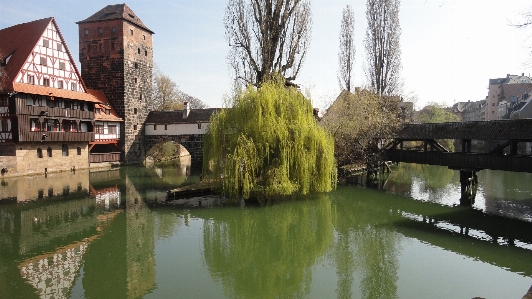 Tree water bridge river Photo