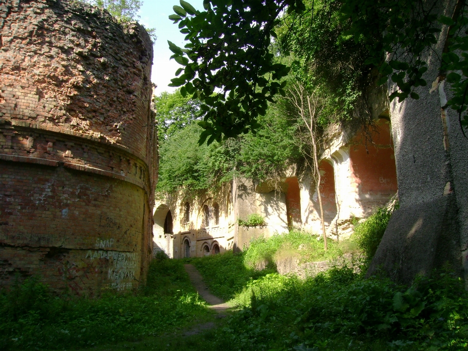 Village jungle ruins ukraine